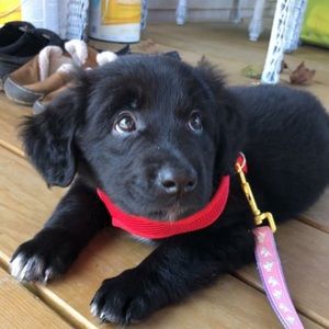 Meet your Posher, Nicholas